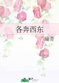 侠盗猎车手5