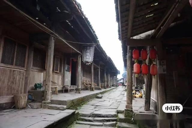 求好看的女强小说，文笔好情节好，女主不小白不柔弱。游戏画面